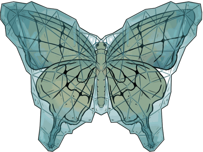 Logo Soft Belly